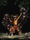 Xel Ha Tour