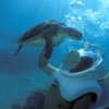 Tulum Tour