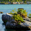 Tulum Tour